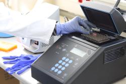 A forensic biologist analyzes evidence in the lab